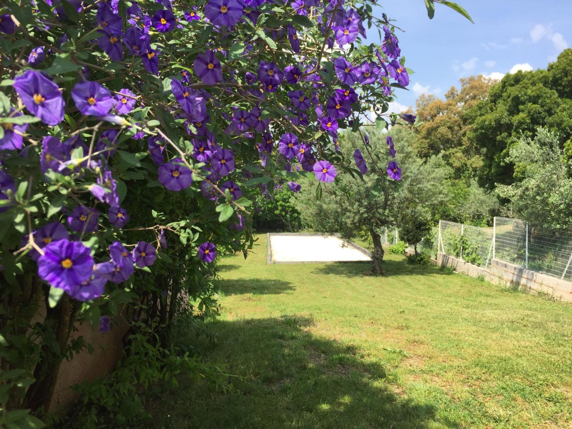 Appartamento Oustaou di Ercole Bormes-les-Mimosas Esterno foto
