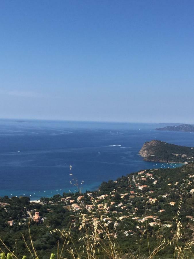 Appartamento Oustaou di Ercole Bormes-les-Mimosas Esterno foto